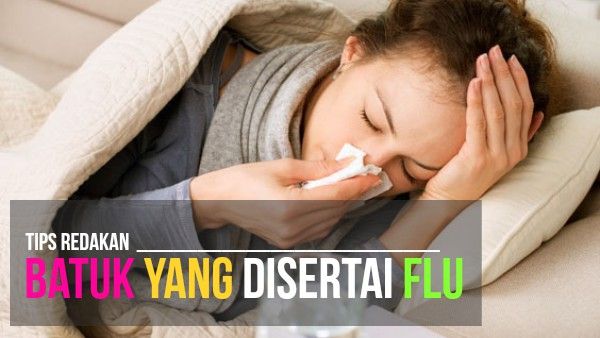 Cara Mengobati Batuk yang Disertai Flu Secara Alami Cara alami mengobati batuk yang disertai flu Cara Mengobati Batuk yang Disertai Flu Secara Alami