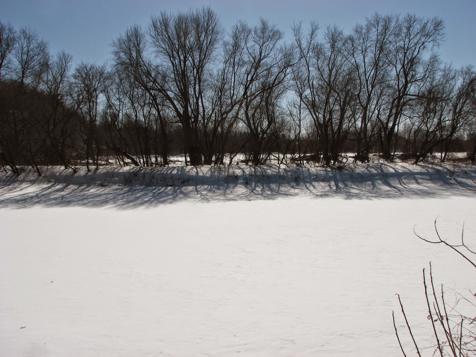 Woodside Natural Area, nature trailsWVPD. (Photos). In search of the