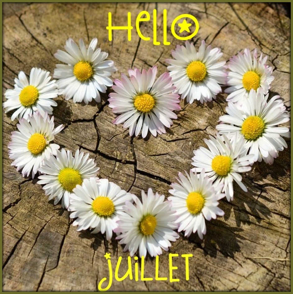 HeLLO Juillet