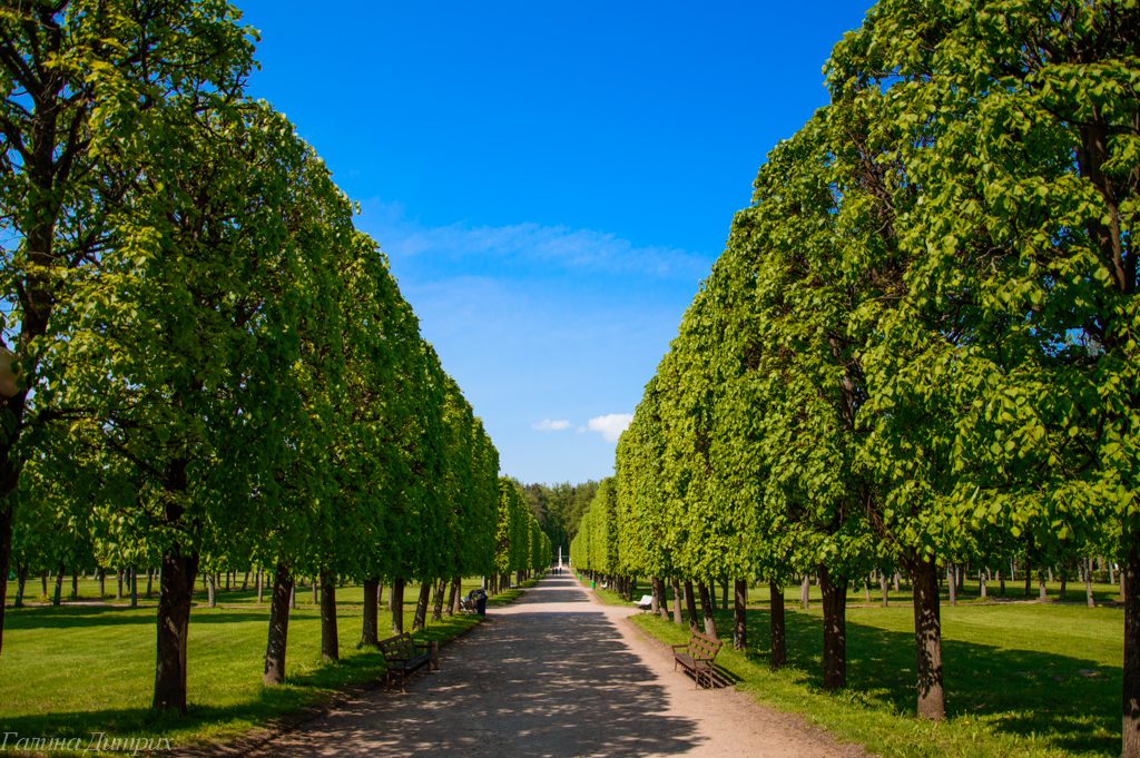 Парк архангельское