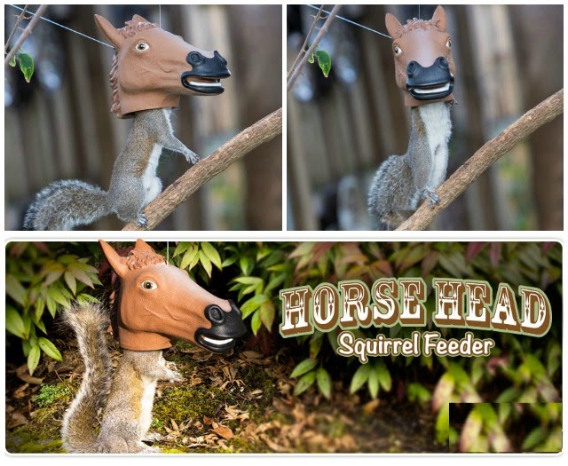 OMG Horse Head Squirrel Feeder Gramkin Paper Studio