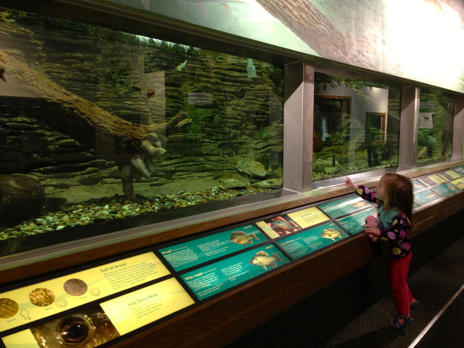 My Adventures In Wanderland Burr Oak Nature Center in Blue Springs, MO