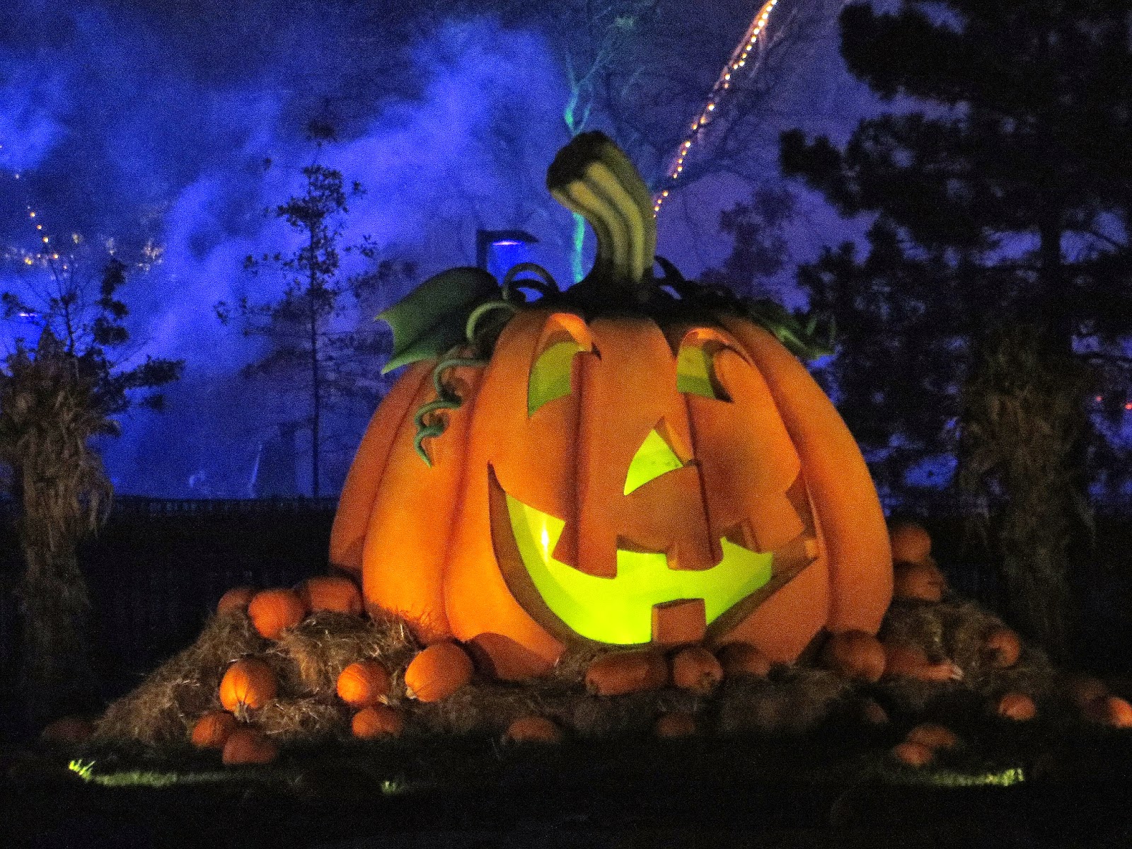 Todd Swank Valley Scare 2014