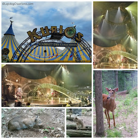 Spent our anniversary weekend at Cirque du Soleil Kurios and Squam Lakes Natural Science Center ©LapdogCreations