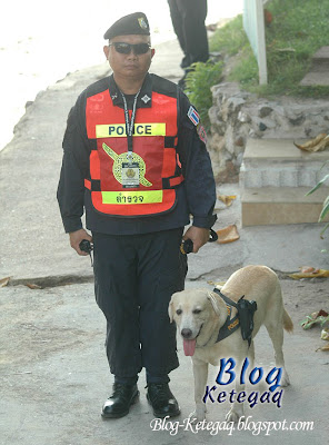 Anjing polis membawa pistol di Thailand