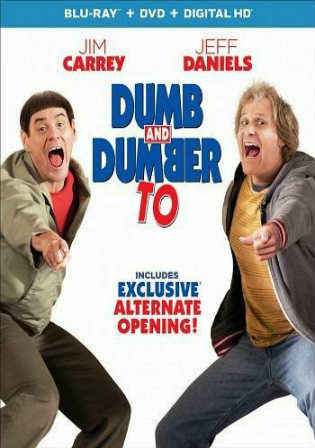 Dumb And Dumber To 2014 BRRip 850Mb Hindi Dual Audio 720p