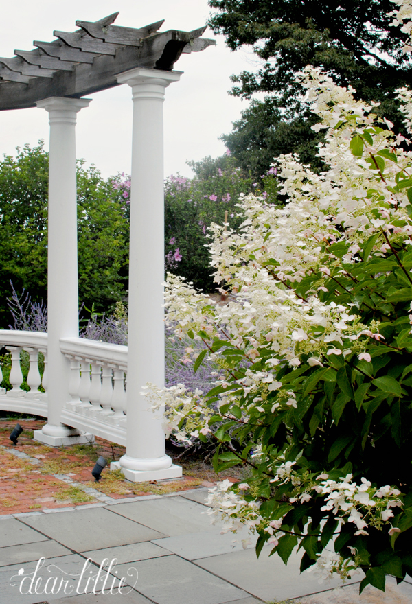 Dear Lillie Uncle Bob's Garden