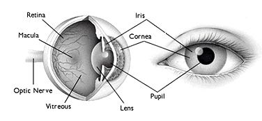 Reconocimiento biometrico por Iris