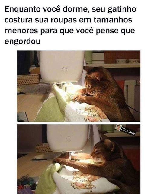 Memes+engra%25C3%25A7ados+%252813%2529.j