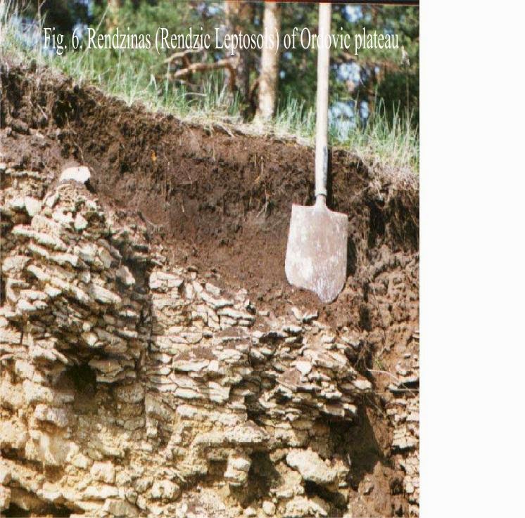 BELAJAR GEOGRAFI INDONESIA: Jenis-Jenis Tanah di Indonesia