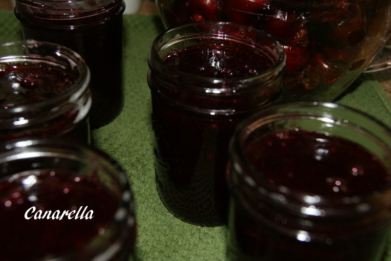 Canarella Balsamic Cherry Jam