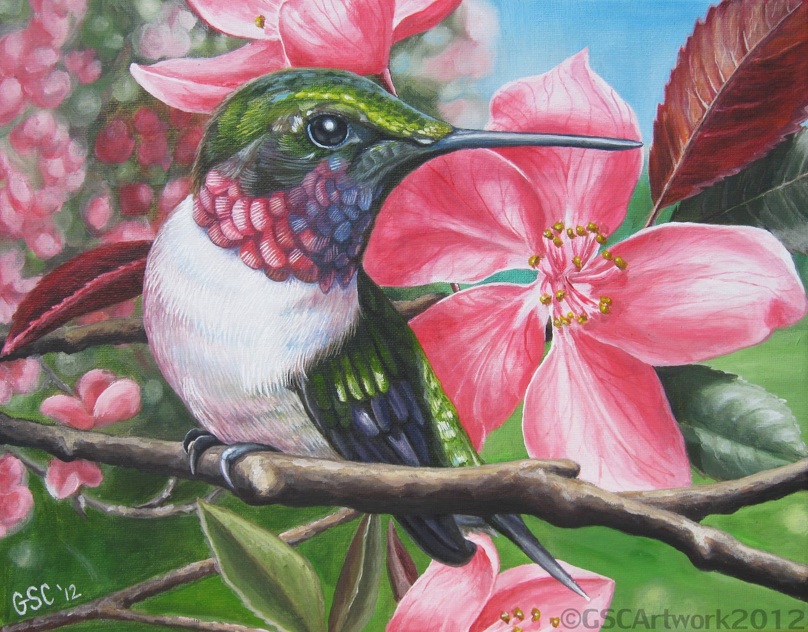 ruby-throated hummingbird bird animal flowers acrylic painting