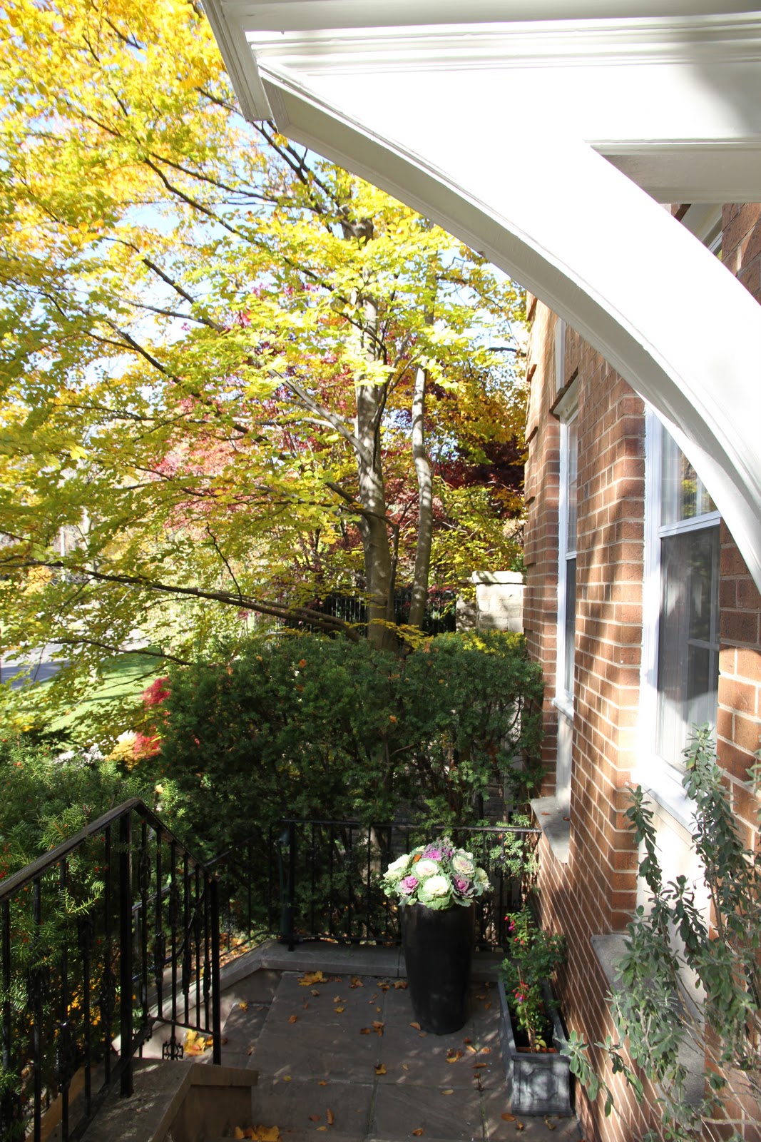 Sea Horse Ventures Corp. 27 CLUNY DR., Toronto BEAUTIFUL 3 BEDROOM