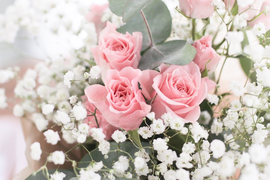  20 COSAS PARA HACER EN PRIMAVERA