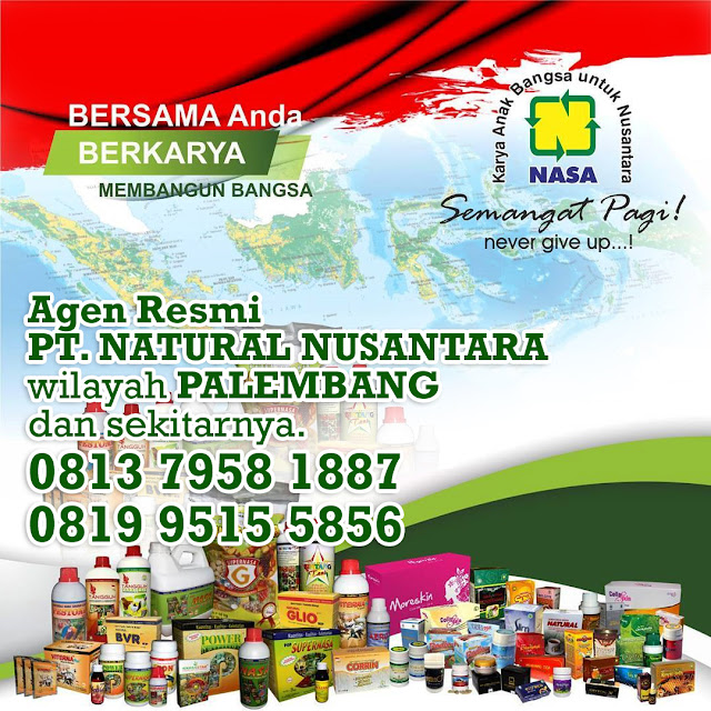 Alamat Distributor/Agen Resmi Nasa Wilayah Palembang, Plaju dan Sekitarnya.