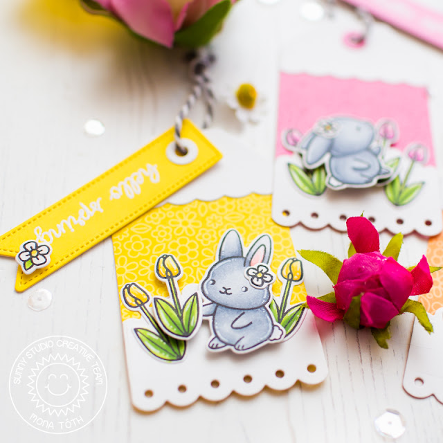 Sunny Studio Stamps: Chubby Bunny Sliding Window Dies Fancy Frames Spring Greetings Build-A-Tag Hello Spring Card by Mona Toth