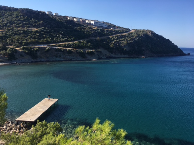 Zeytin Agaclari Arasinda Guzel Bir Kamp Yeri Izmir Dikili