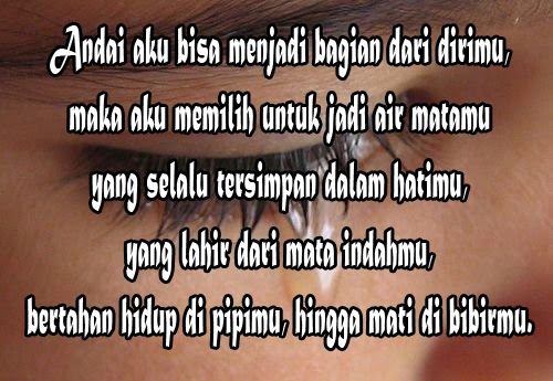 AlyanNur 4ever: kata cinta LDR versi Ali