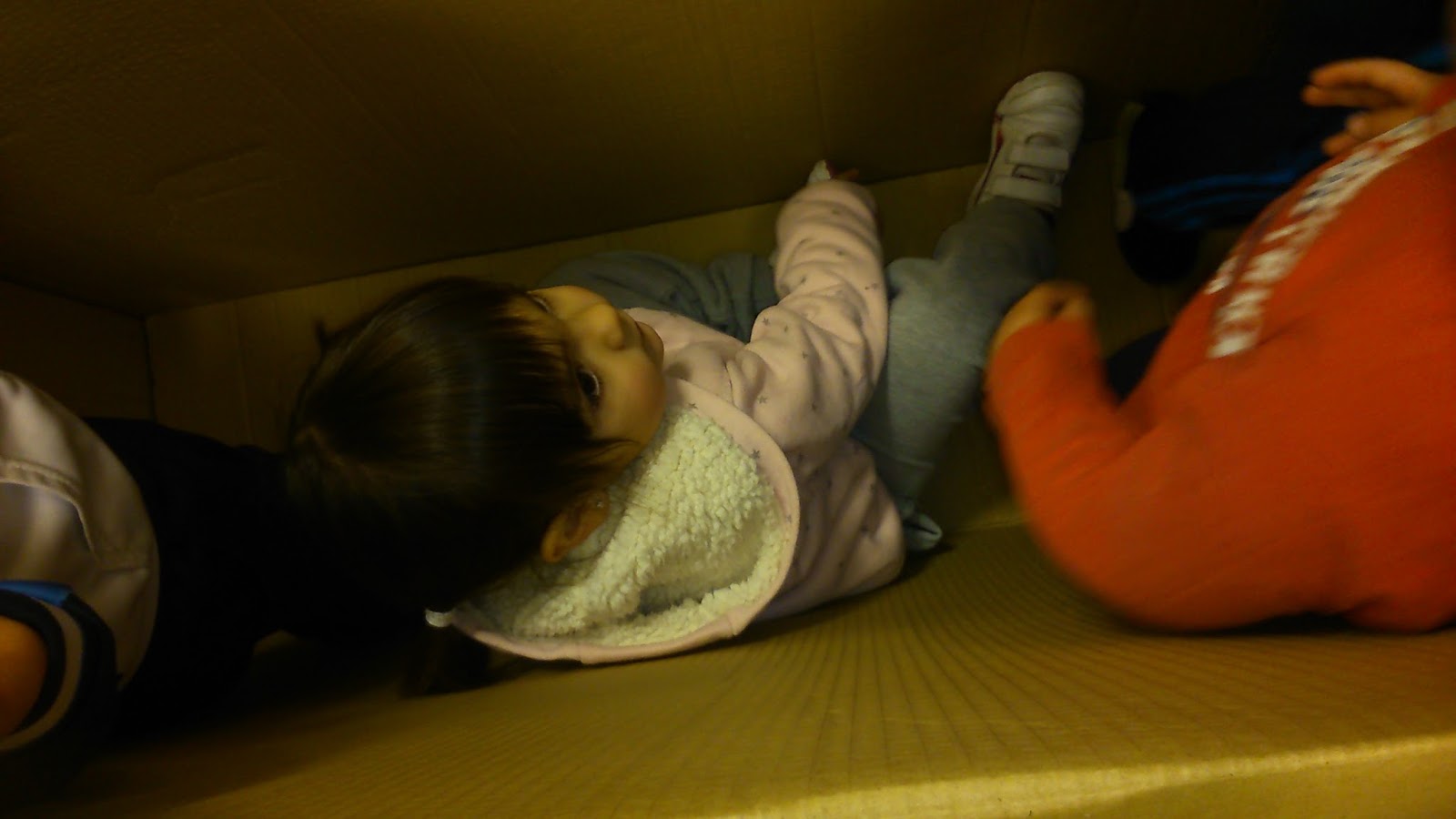 LAS TORTUGAS TARATUGA: LAS CAJAS Y NUESTRA CREATIVIDAD.