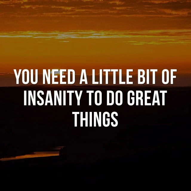 You need a little bit of insanity to do great things. - Good Quotes