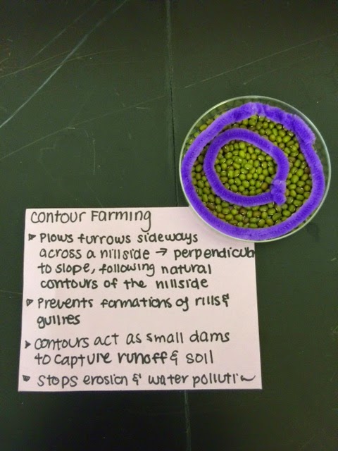 APES Blog Soil Conservation