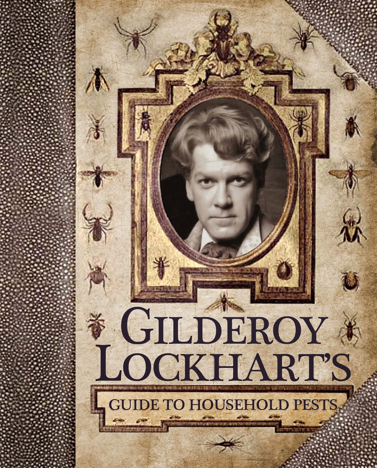 A Crafty Chick: Diagon Alley - Flourish & Blotts and 