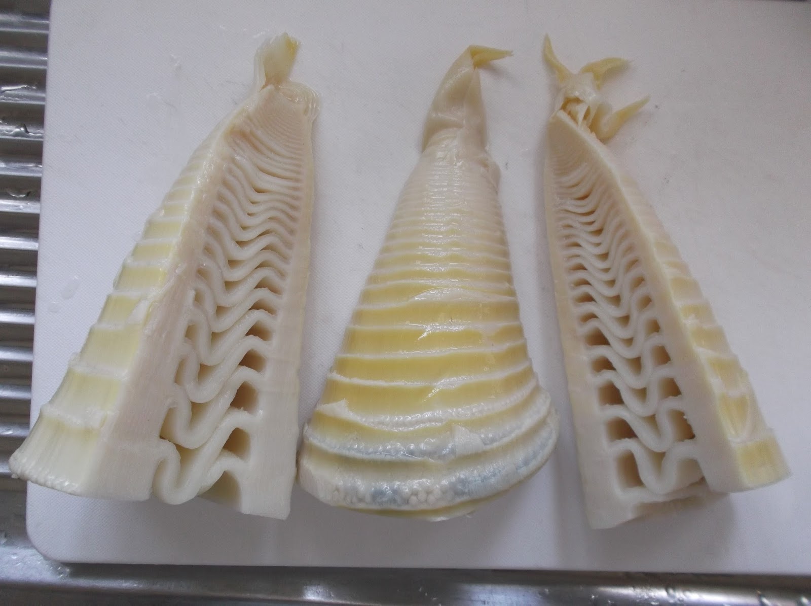 Hiroyuki S Blog On Japanese Cooking Boiled Bamboo Shoots 茹で筍 たけのこ タケノコ