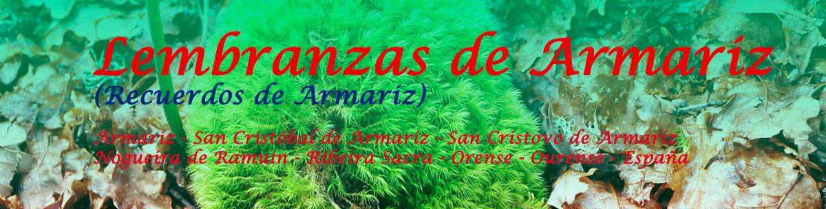 Lembranzas de Armariz