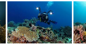 Diving, blok Tanjung Kailupa, blok Pulau Babua, blok Atol Pastofiri