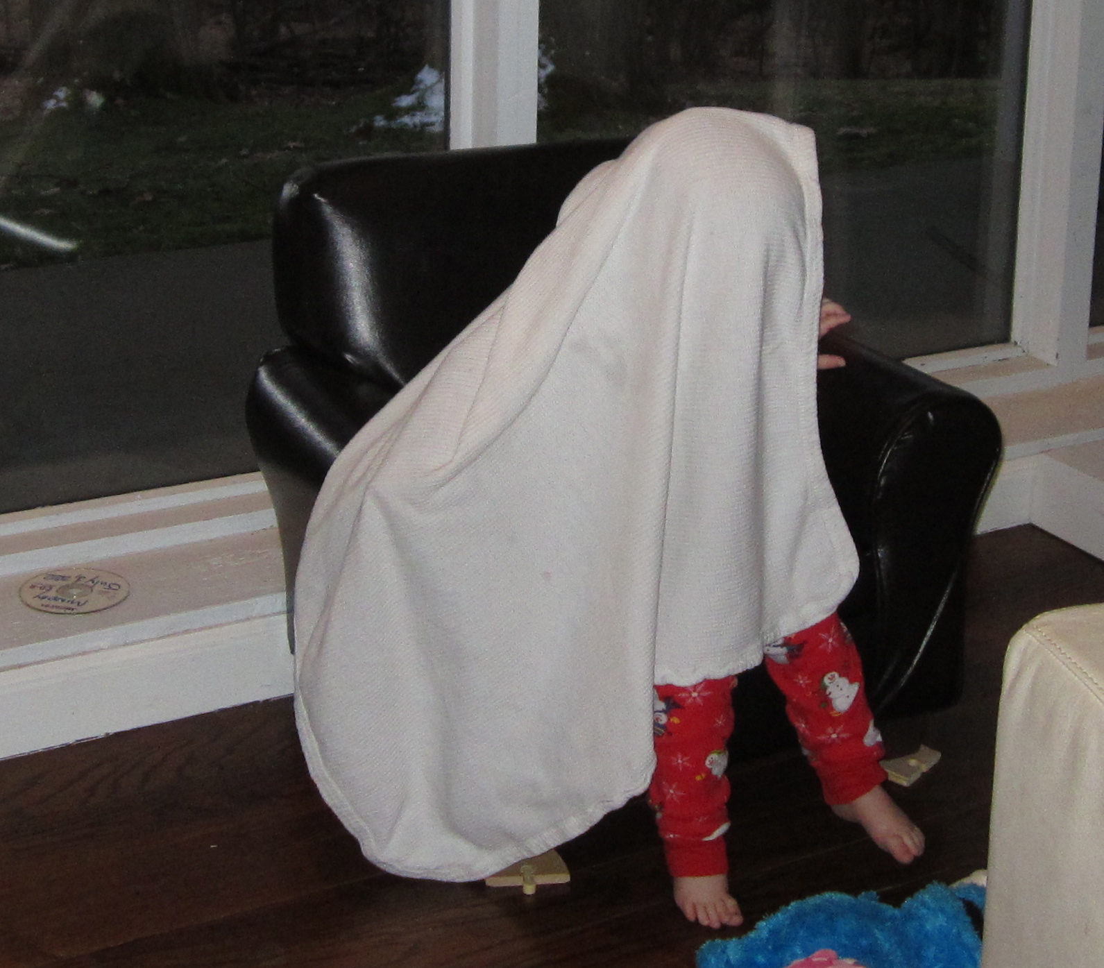 Blanket over Head February 2012