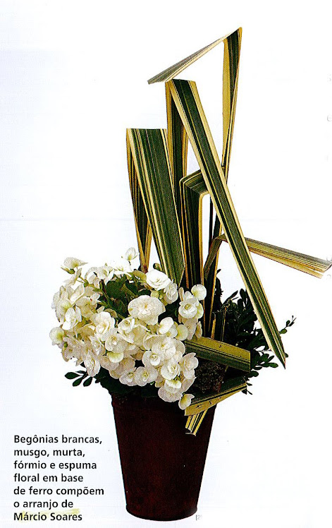Ikebana para Revista com Flores de Begônia.