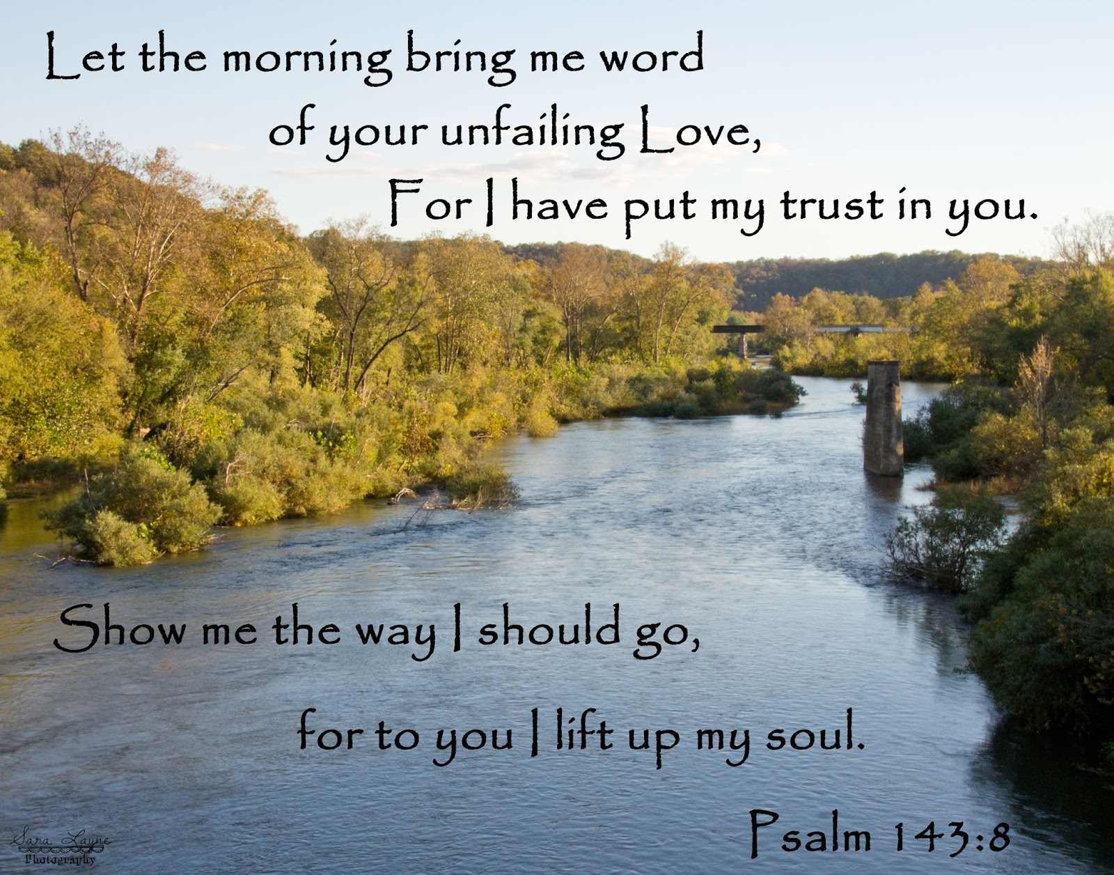 Sweet Magnolias Farm: A Beautiful day for a Country Drive