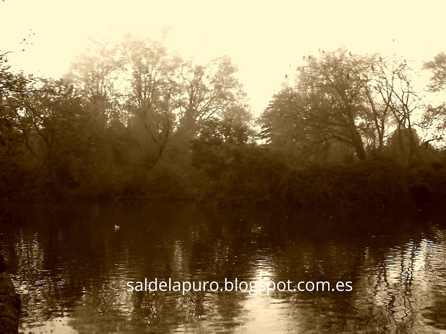 isabel la católica Gijón