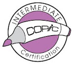 Intermediate Copic Certification
