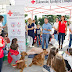 Ιωάννινα:"Πρώτες βοήθειες για συνοδούς μικρών ζώων" Μια ξεχωριστή εκδήλωση  σήμερα στην κεντρική πλατεία 