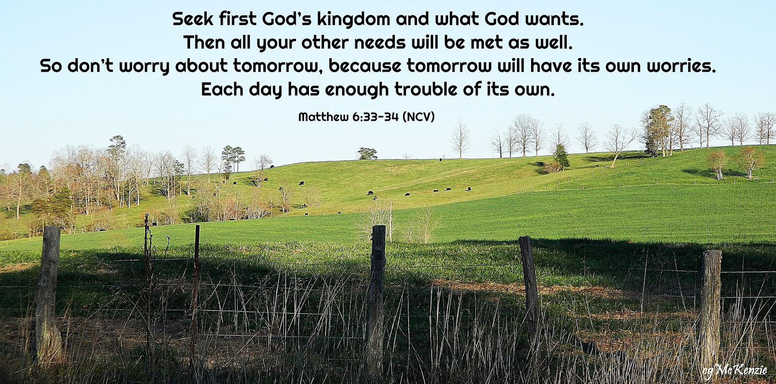 Cally Quilt Plus Matthew 6 33 34