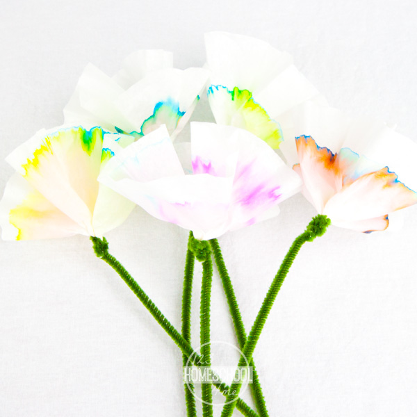 Spring Flowers Chromatography Science Project