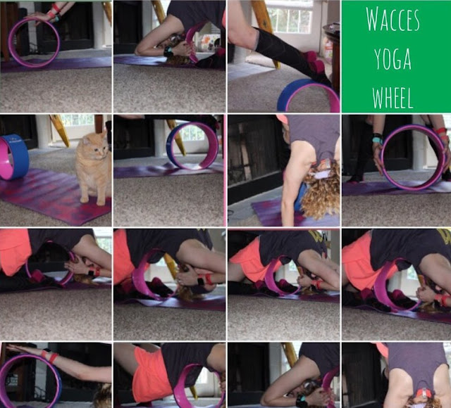 back stretches wacess yoga wheel spine poses virtual race calendar virtual race club