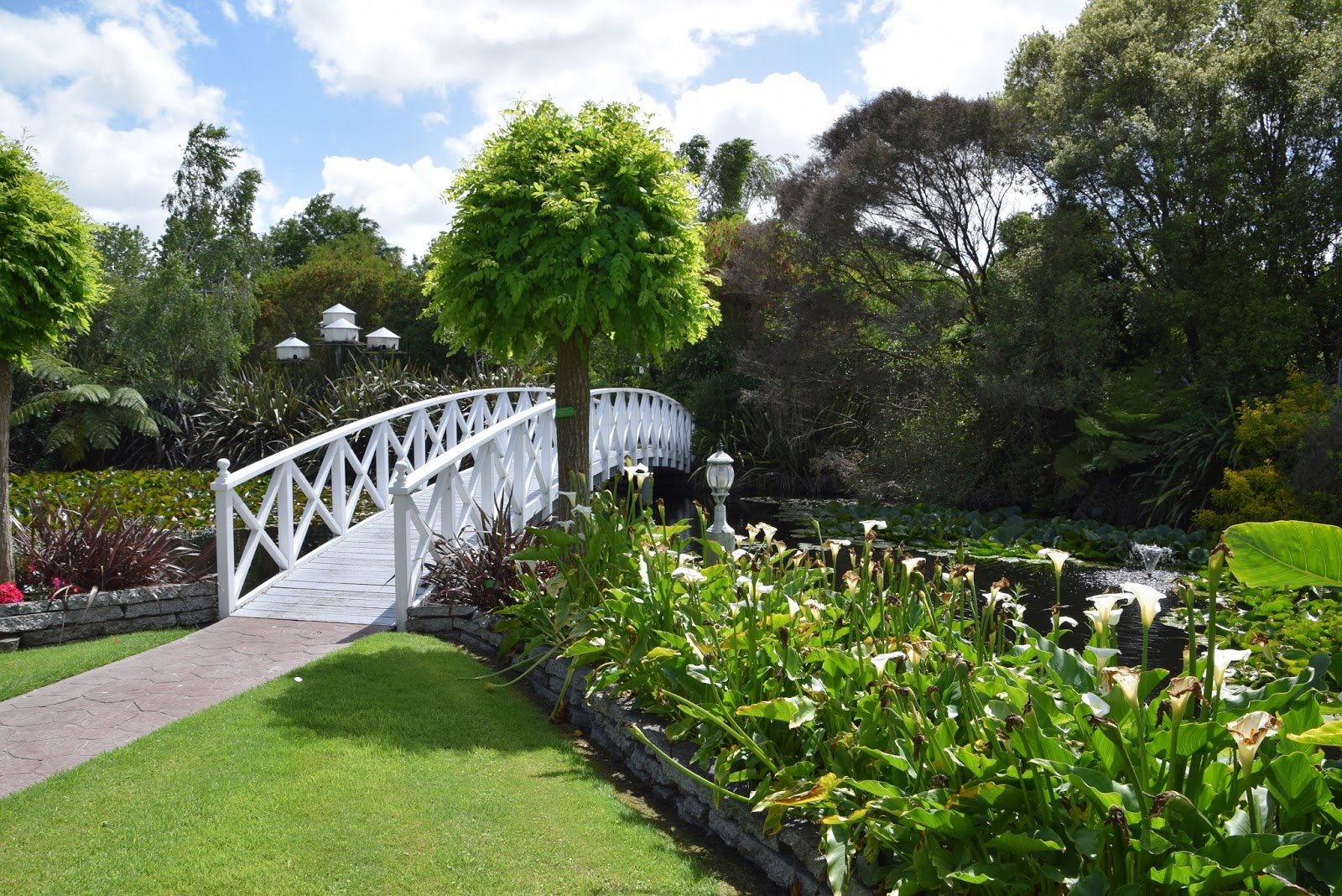 Love and Happiness Ngatea Water Gardens, New Zealand