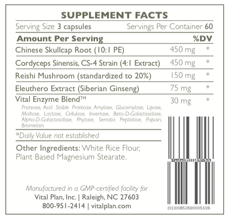 Lyme Disease (My Journey): Vital Plan