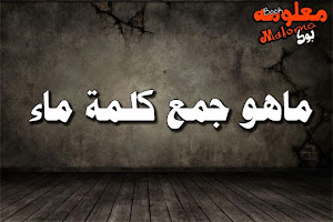 رئيس امريكي سابق من 8 حروف