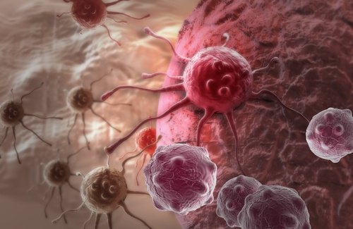 Il est anticarcinogenic Il est anticarcinogenic