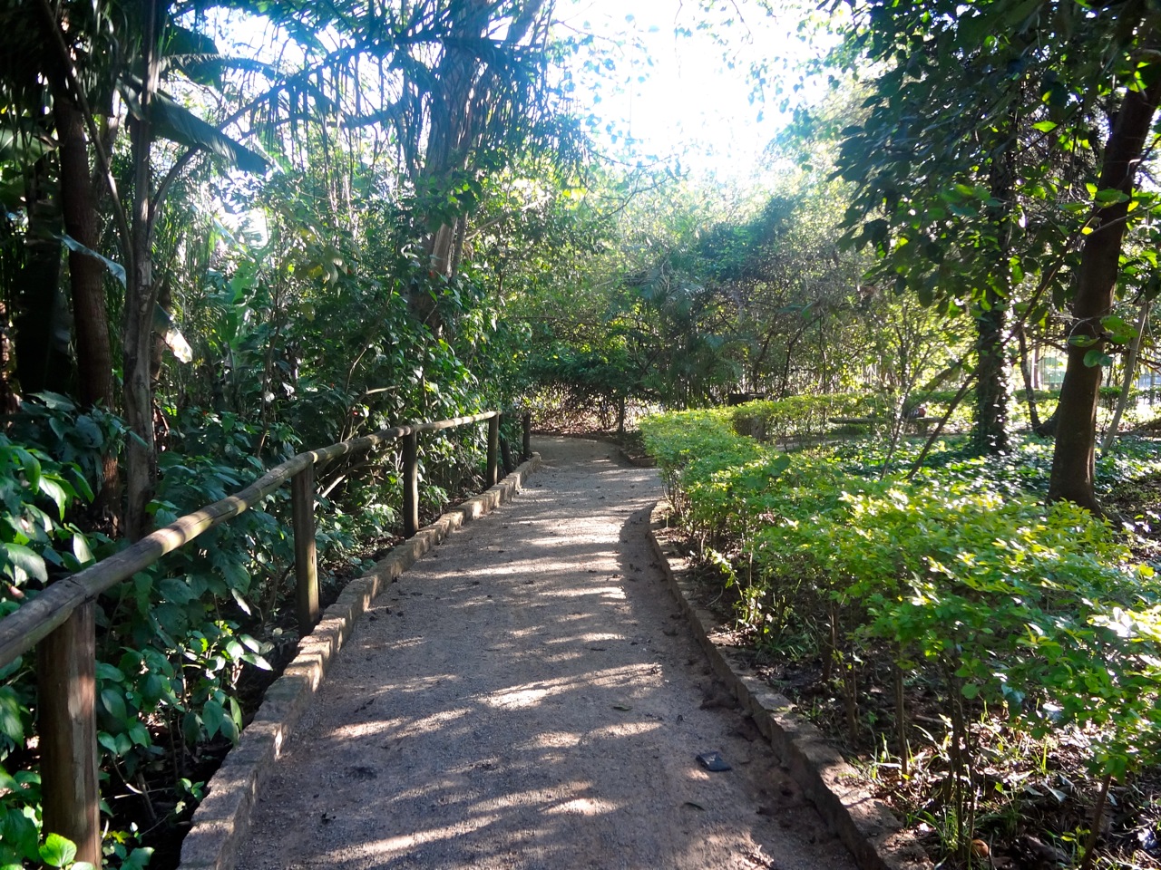 Parque Severo Gomes em São Paulo ~ Áreas Verdes das Cidades - Guia de ...
