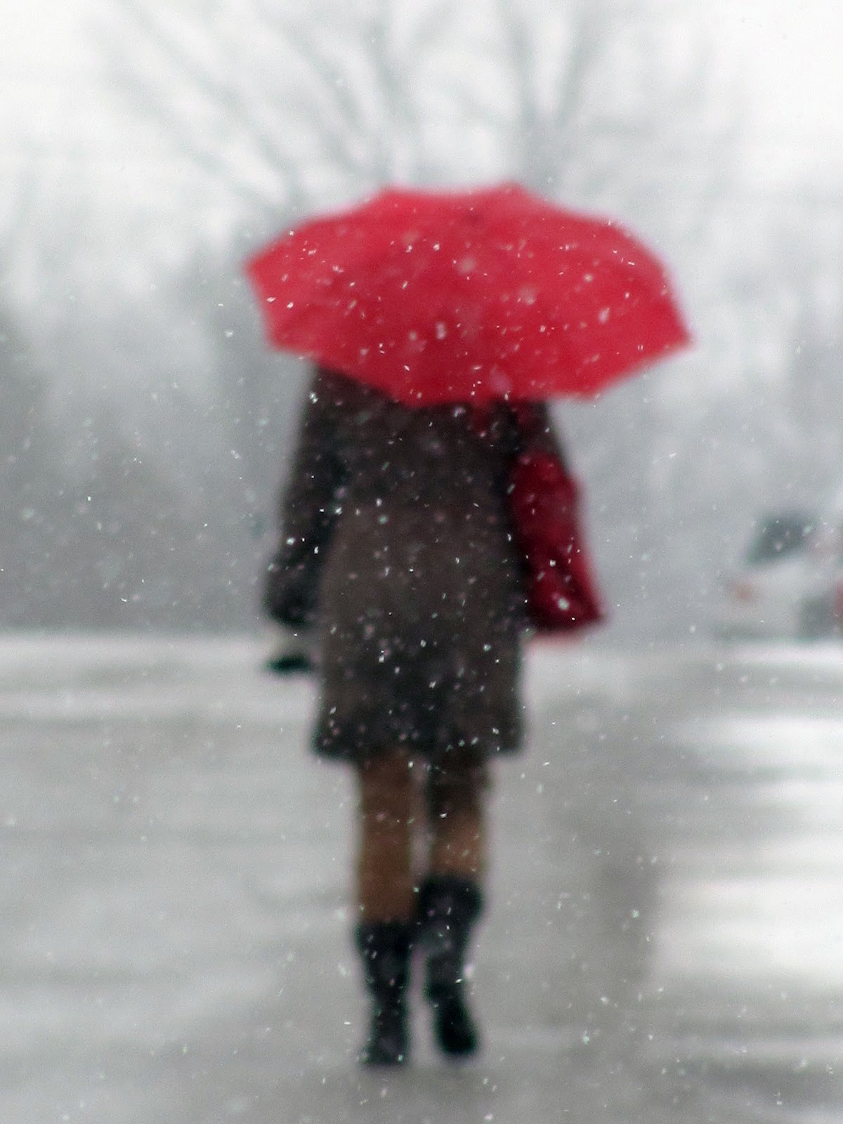 curving back snow on red umbrella