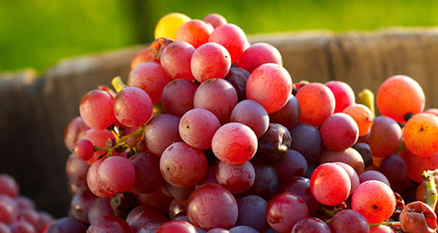 8 Foods That Help Prevent Acne Breakouts 8 Foods That Help Prevent Acne Breakouts