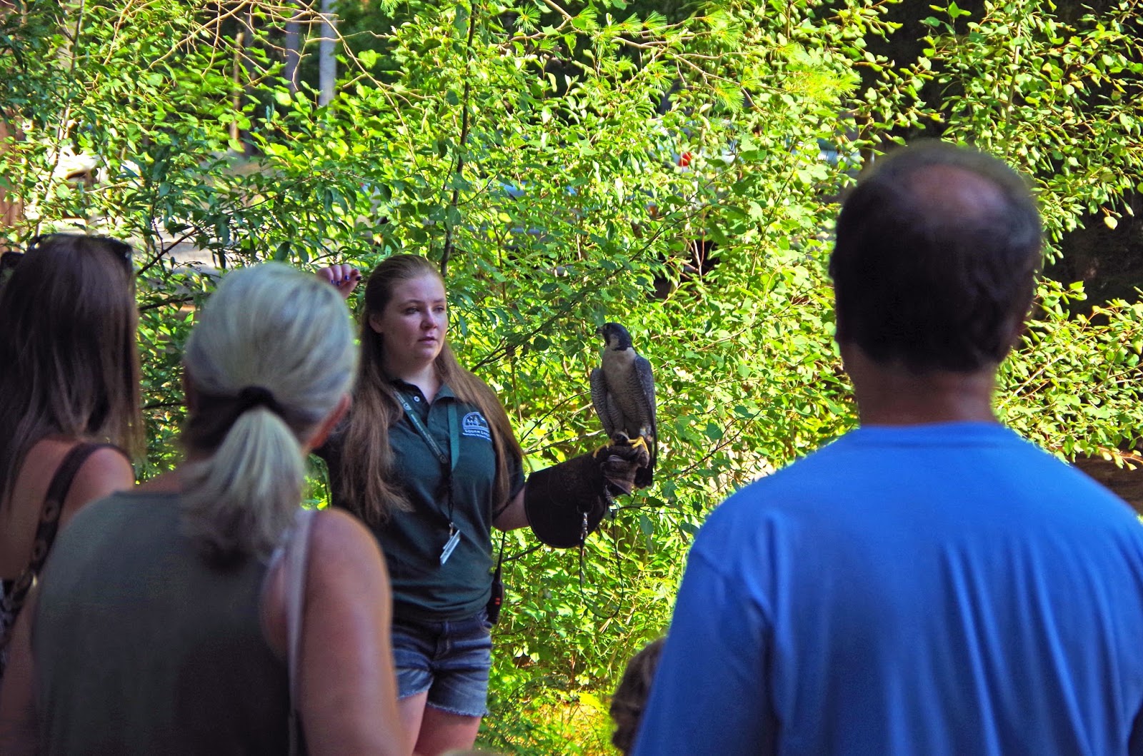 Squam Lakes Natural Science Center Blog Volunteers Give Generously to