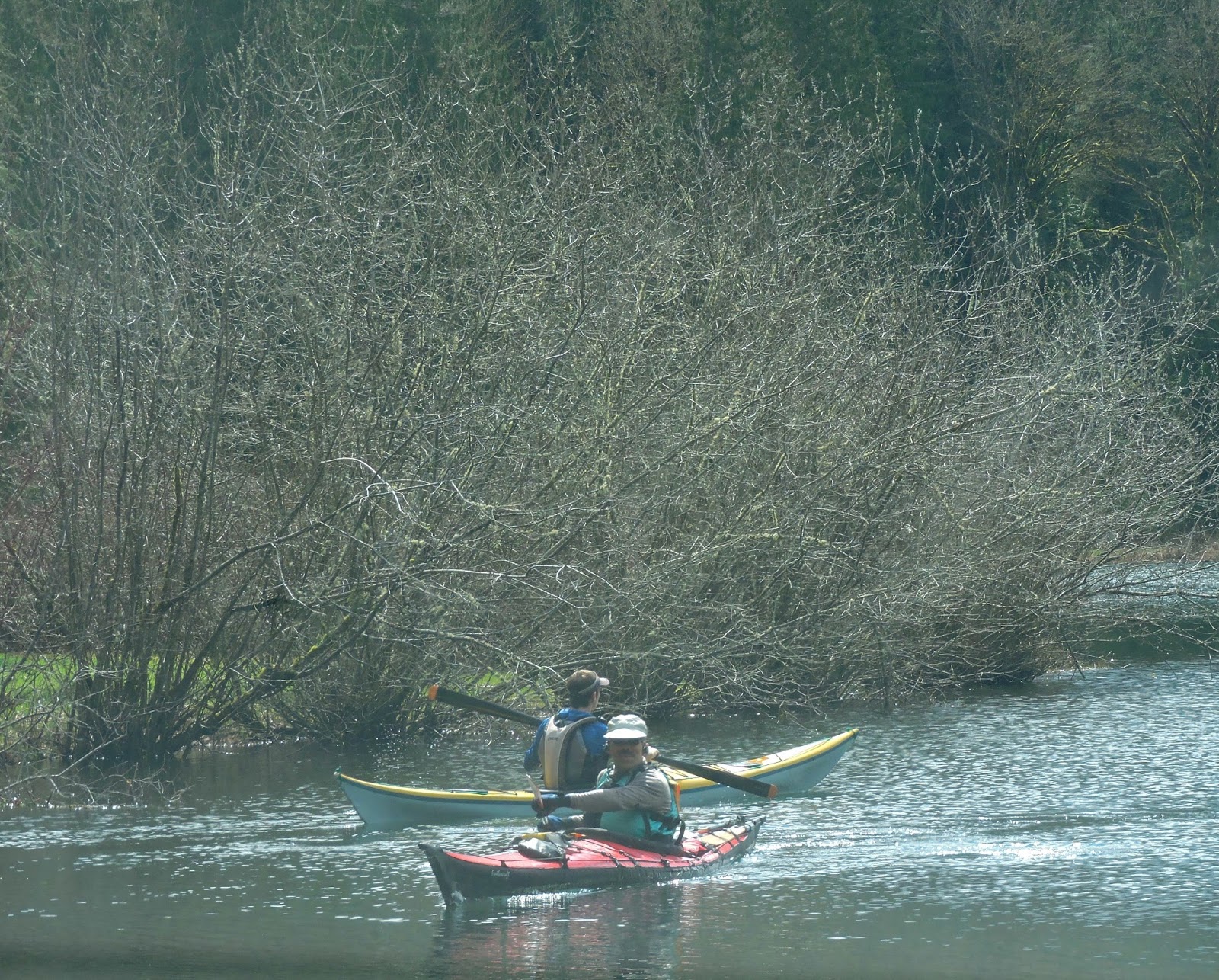 Paddle Boat Deer Lake Park Paddle Boat