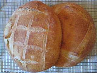 Beautiful loaves