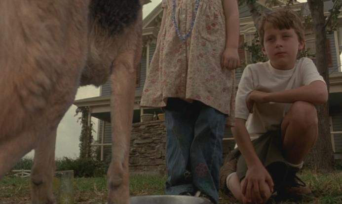 Soresport Movies: Signs (2002) - Horror Aliens