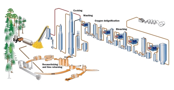 Center for Environment, Commerce & Energy: Kraft Pulp Mills NSPS Review